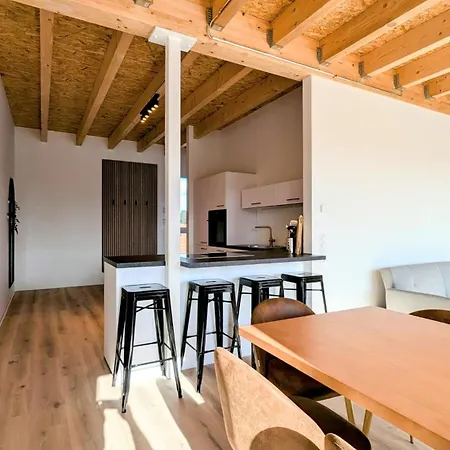 Apartment Andriss - Stilvolle Lofts & Penthouses - Premium Wohnen Mit Parkplatz & Workstations